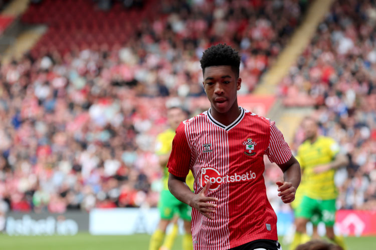 Photo by Isabelle Field/Southampton FC via Getty Images
