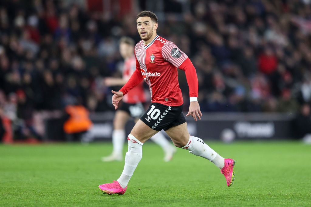 Southampton FC v Hull City - Sky Bet Championship