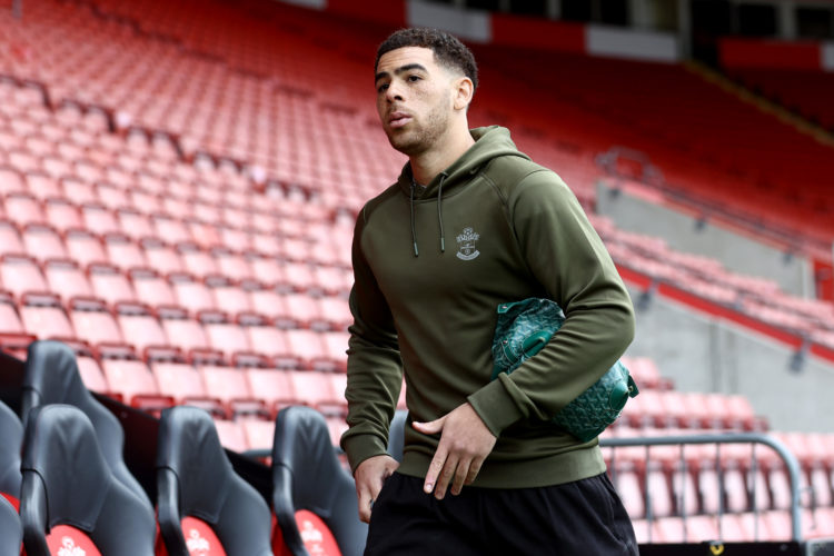 Photo by Matt Watson/Southampton FC via Getty Images