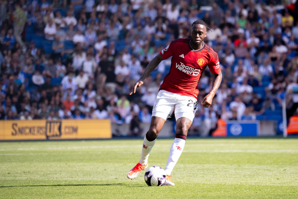 Brighton & Hove Albion v Manchester United - Premier League