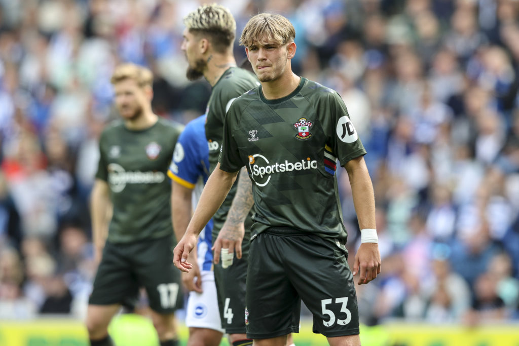 Brighton & Hove Albion v Southampton FC - Premier League