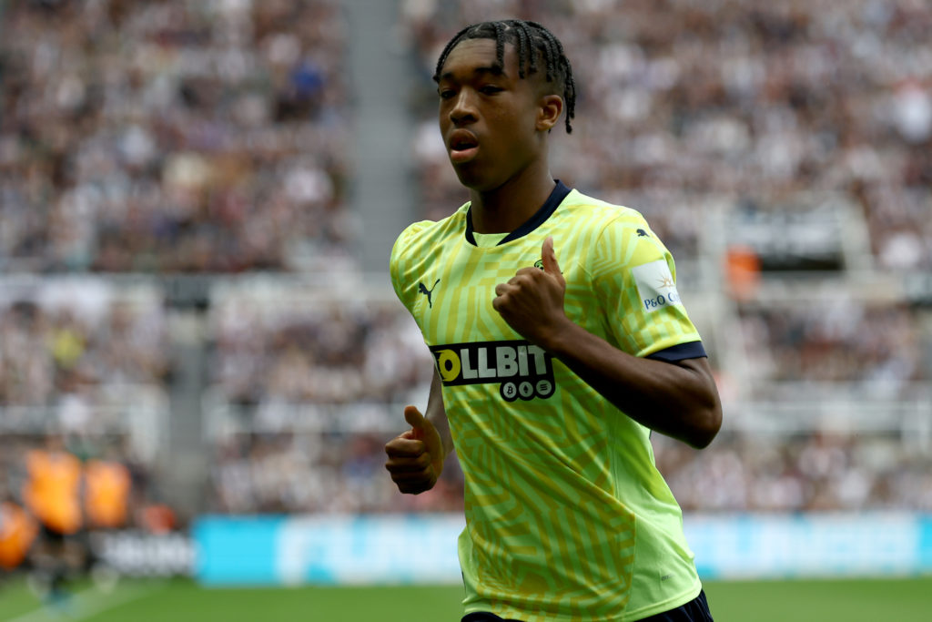 Newcastle United FC v Southampton FC - Premier League